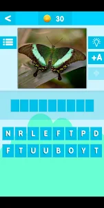 Guess Picture Word