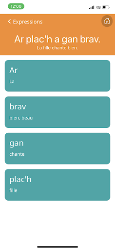 Android application #bzhg deskiñ screenshort