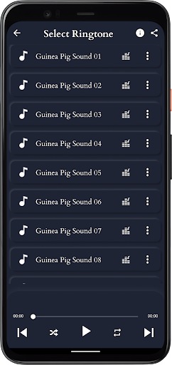 Guinea Pig Sounds Screen 2
