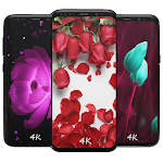 Cover Image of Download Rose Wallpapers 2.0.3 APK