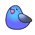 Cute timer app :Parrot Timer2.9.0 (Premium)