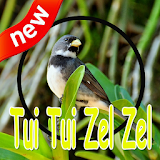 Coleiro Tui Tui Zel Zel Complete Mp3 icon