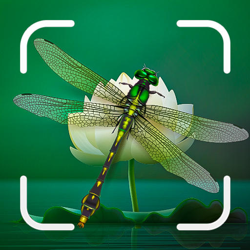 Insect Spider & Bug identifier logo