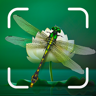 Insect Spider & Bug identifier apk
