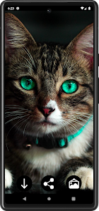 Cat aesthetic Wallpaper - Apps on Google Play