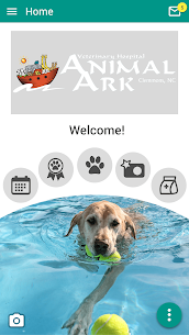 Animal Ark Veterinary Hospital Apk Download 1