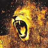 Burning Lion Fire Theme icon