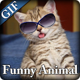 Funny Animal GIF icon