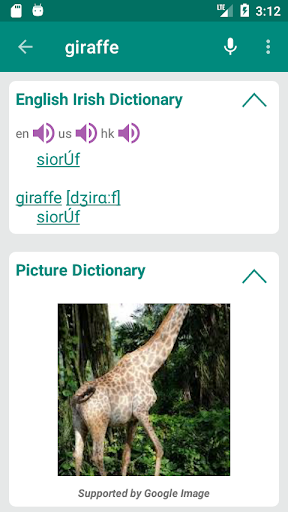 Irish English Dictionary Screen 2