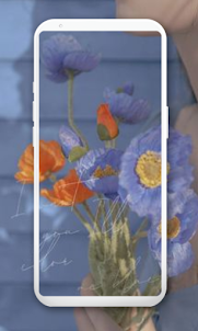 Flower Wallpapers HD