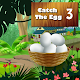 Catch The Egg 3 Download on Windows