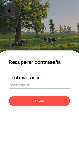 Catálogo Colun Screen 2