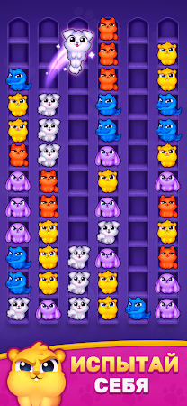 Game screenshot Cozy Sort: Сортировка Животных hack