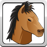 Sprinty Steed Horse Race Game icon