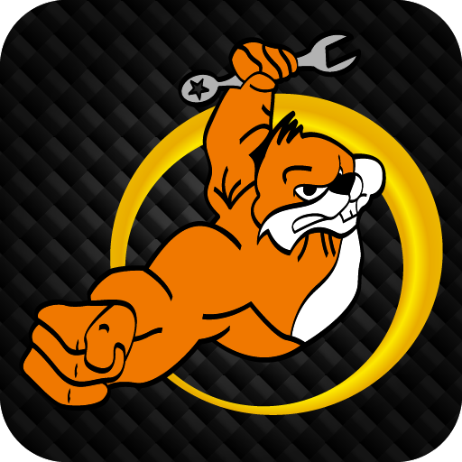 Castor Air Control logo