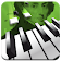 Piano Master Chopin Special icon