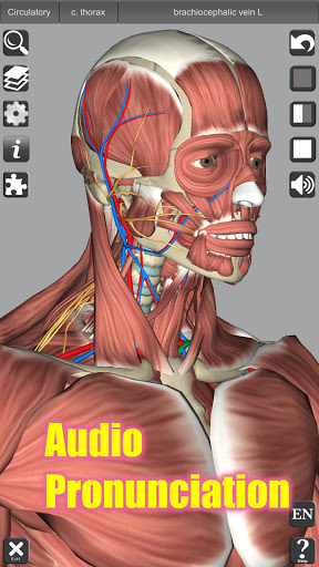 3D Anatomy v6.0 APK (Full Paid) – Download for Android poster-4