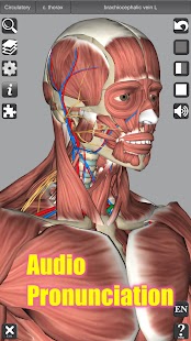 Capturi de ecran de anatomie 3D
