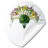 Flower Arrangements idea icon