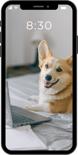 Android application Wallpaper Dogs Dogs HD 4k screenshort