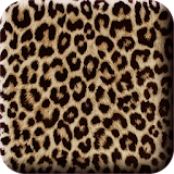 KakaoTalk 3.0 Theme : Leopard icon
