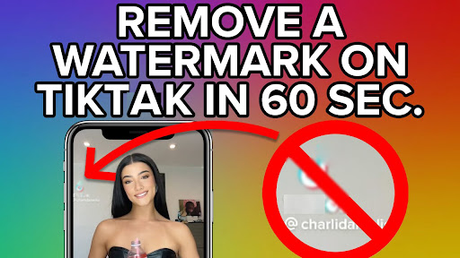 Tik Downloader No Watermark