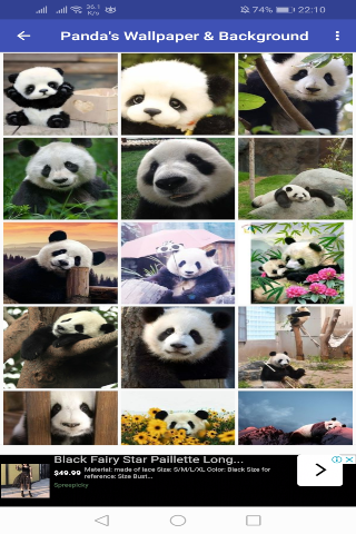 Cute Animal Wallpaper  Background