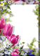 screenshot of Photo frame 2025