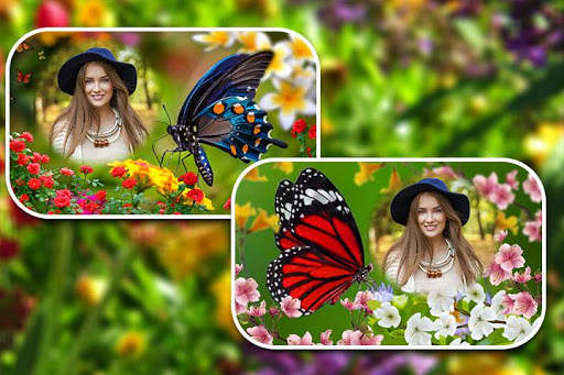Android application Butterfly Photo Frames screenshort
