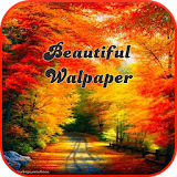 Beautiful Walpaper icon