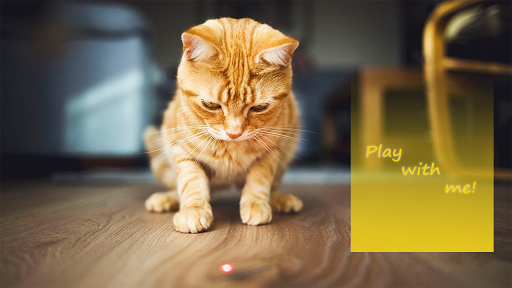 Laser for cats. Lazer pointer. Cat toy simulator 2.98 screenshots 2