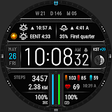 Futorum H8 Digital watch face icon