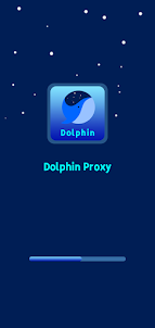 Dolphin vpn