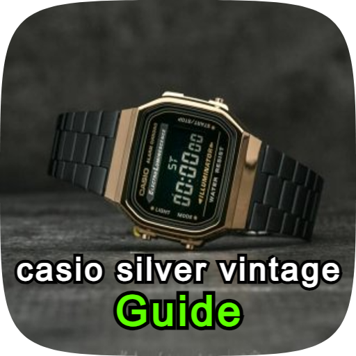 casio silver vintage guide logo