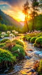 screenshot of Spring Wallpaper HD