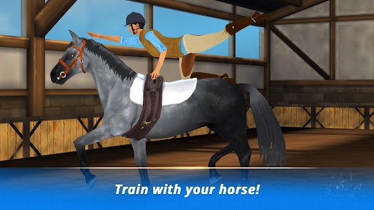 Free Mod Horse Hotel – care for horses 3