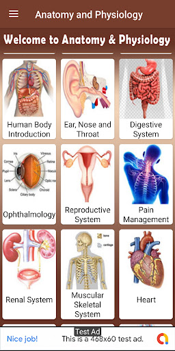 Anatomy and Physiology