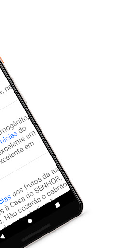 Bíblia Strong Premium Screen 3