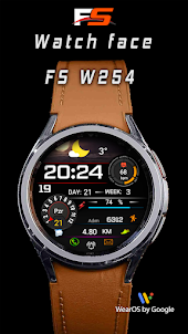 FS W254 Watch face
