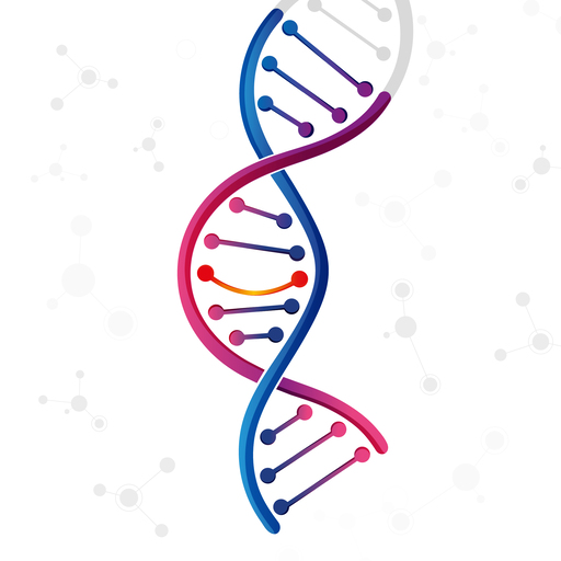 Noctiluca 2023 logo