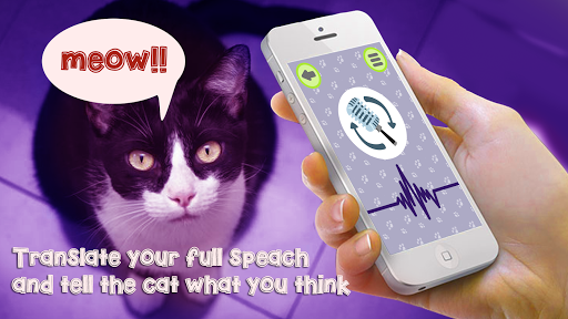 Android application Cat Language Translator - Meow screenshort