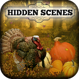 Hidden Scenes - Happy Harvest icon