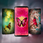 Cover Image of Download 4K HD Butterfly Wallpaper  APK