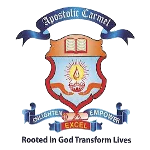 Carmel School Rourkela logo
