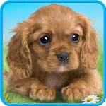 Cover Image of Download Talking puppy  APK