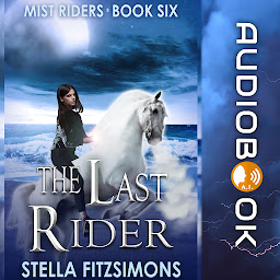 Obraz ikony: The Last Rider: An Urban Fantasy