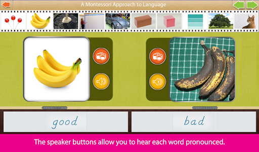 Montessori Language- Opposites