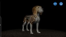 Osteology in Dogsのおすすめ画像3