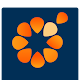 The Awakening Group App Download on Windows