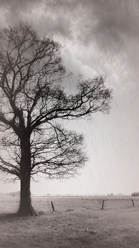 Screenshot of Rainy Daze